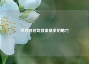 探寻跳跳哥数量最多的地方