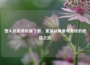 雪人兄弟单机版下载，重温经典童年游戏的绝佳之选