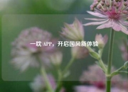 一耽 APP，开启国风新体验