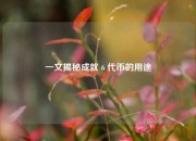 一文揭秘成就 6 代币的用途