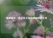 原神栖木，提瓦特大陆的神秘栖息之所