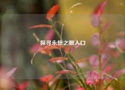 探寻永恒之眼入口