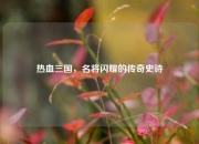 热血三国，名将闪耀的传奇史诗