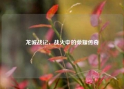 龙城战记，战火中的荣耀传奇