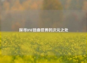 探寻DNF扭曲世界的次元之处