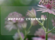 探秘逆袭之谷，它究竟能带来什么？