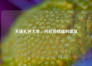 天谕礼包大全，开启游戏福利盛宴