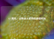 CF 周末，点燃战火重燃的激情时刻