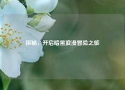 探秘，开启暗黑浪漫冒险之旅
