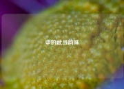 中的武当韵味