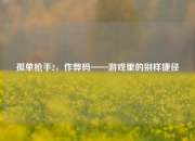 孤单枪手2，作弊码——游戏里的别样捷径