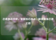 忍者加点攻略，掌握核心加点，解锁最强忍者之路