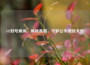 CF封号查询，揭秘真相，守护公平竞技天地