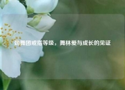 劲舞团戒指等级，舞林爱与成长的见证