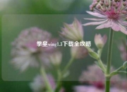 拳皇wing1.3下载全攻略