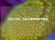 火柴人对战，热血与激情的激烈碰撞