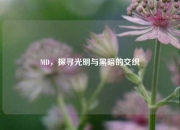 MD，探寻光明与黑暗的交织