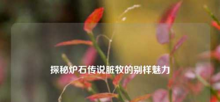 探秘炉石传说脏牧的别样魅力