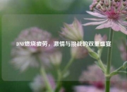 DNF燃烧疲劳，激情与挑战的双重盛宴