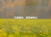 九阴真经，凌霄城风云
