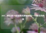 DNF，阿拉德大陆隐藏的神秘物品——厚实的肉块