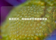 解冻碎片，探秘原神世界隐藏奥秘