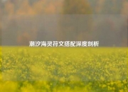 潮汐海灵符文搭配深度剖析