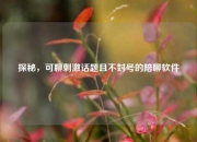 探秘，可聊刺激话题且不封号的陪聊软件