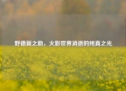 野德新之助，火影世界消逝的纯真之光