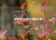 老狐狸马林的江湖风云录