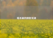 暗杀星的阴影笼罩