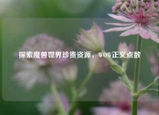 探索魔兽世界珍贵资源，WOW正义点数