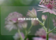 闪电轰顶后的奇迹