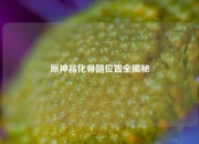 原神晶化骨髓位置全揭秘
