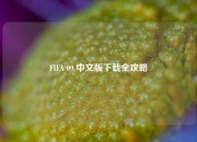 FIFA 09 中文版下载全攻略