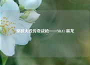 穿越火线传奇战枪——M4A1 黑龙
