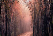 侠盗猎魔2图文攻略,畅玩暗黑世界指南