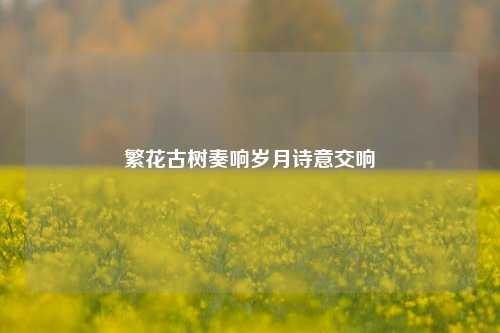 繁花古树奏响岁月诗意交响