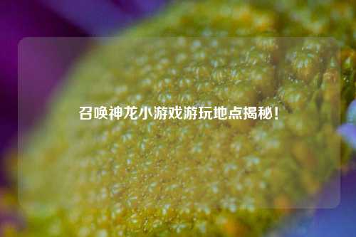 召唤神龙小游戏游玩地点揭秘!