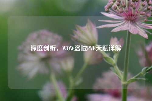 深度剖析,WOW盗贼PVE天赋详解