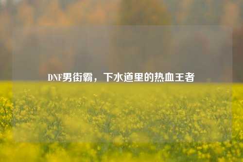 DNF男街霸，下水道里的热血王者