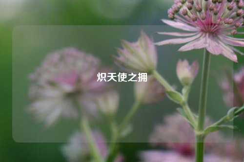 炽天使之拥