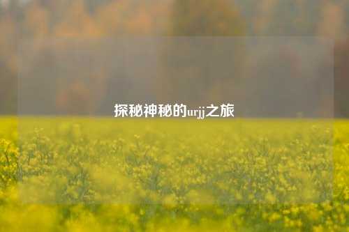 探秘神秘的urjj之旅