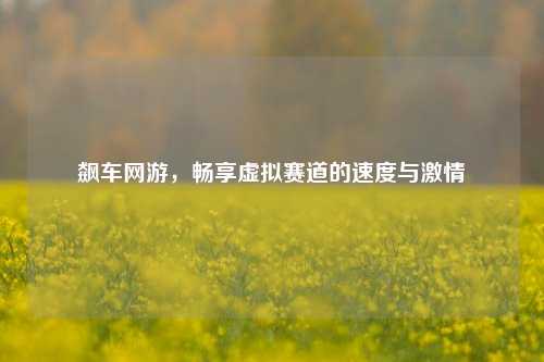 飙车网游,畅享虚拟赛道的速度与激情