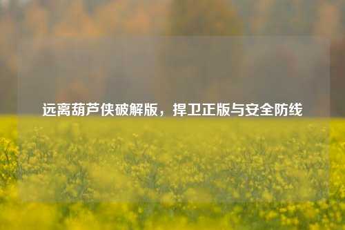 远离葫芦侠破解版,捍卫正版与安全防线