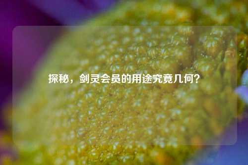 探秘，剑灵会员的用途究竟几何？