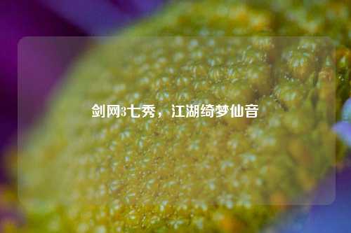 剑网3七秀，江湖绮梦仙音