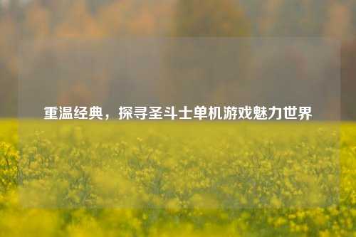 重温经典,探寻圣斗士单机游戏魅力世界
