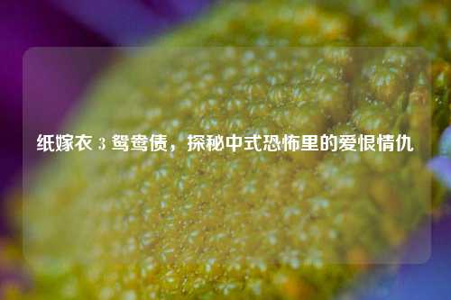 纸嫁衣 3 鸳鸯债，探秘中式恐怖里的爱恨情仇