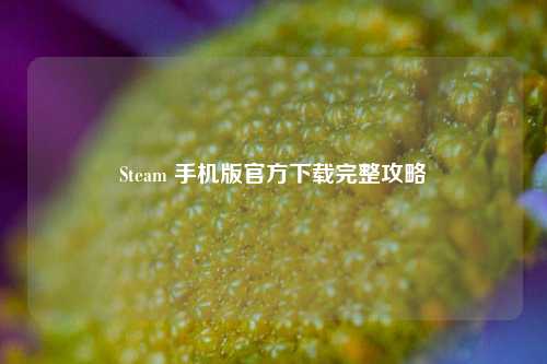 Steam 手机版官方下载完整攻略